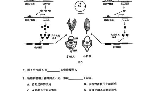上海市浦东新区2024学年度第二学期高中教学质量检测生物_2025年4月_250408上海市浦东新区2024学年度第二学期高中教学质量检测（全科）