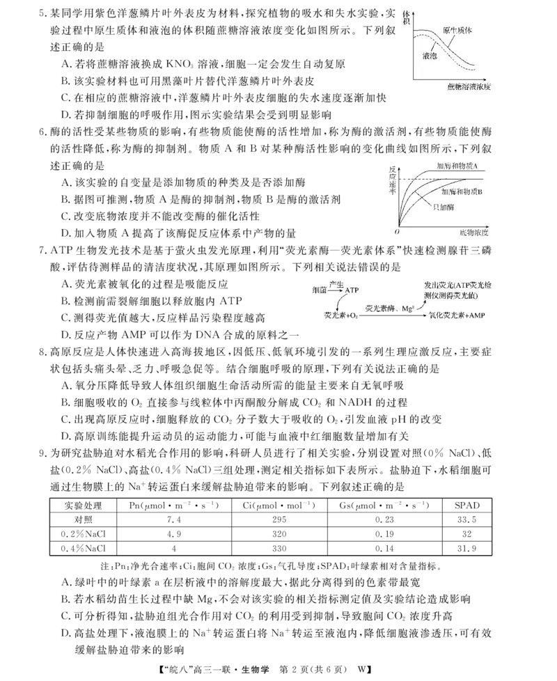 26高三皖八一联-生物_2025年10月_251023原版：安徽省2026届&ldquo;皖南八校&rdquo;高三第一次大联考（全科）
