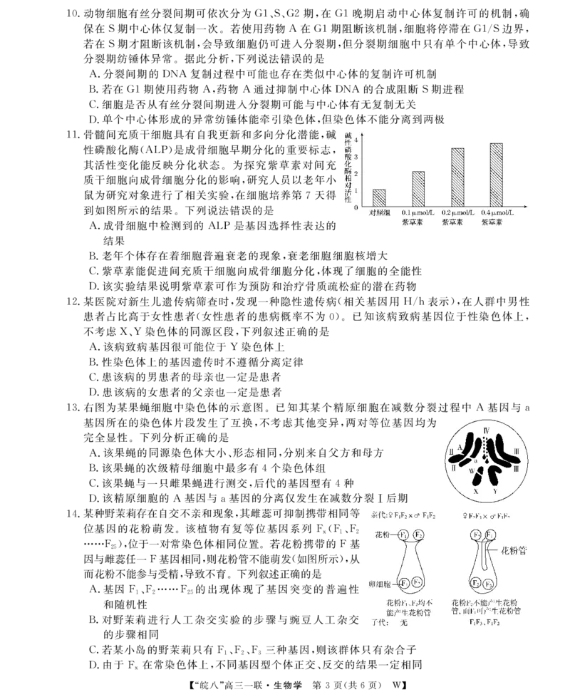 26高三皖八一联-生物_2025年10月_251023原版：安徽省2026届&ldquo;皖南八校&rdquo;高三第一次大联考（全科）