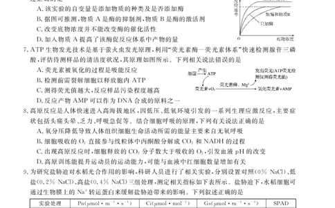 26高三皖八一联-生物_2025年10月_251023原版：安徽省2026届&ldquo;皖南八校&rdquo;高三第一次大联考（全科）