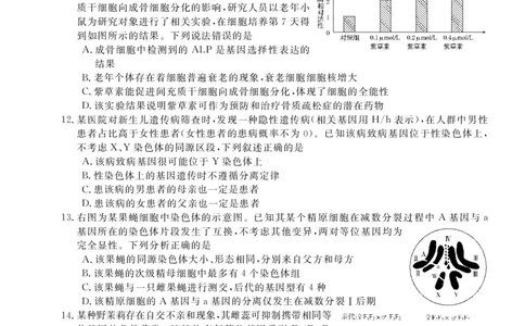 26高三皖八一联-生物_2025年10月_251023原版：安徽省2026届&ldquo;皖南八校&rdquo;高三第一次大联考（全科）