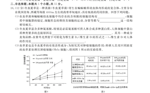 26高三皖八一联-生物_2025年10月_251023原版：安徽省2026届&ldquo;皖南八校&rdquo;高三第一次大联考（全科）
