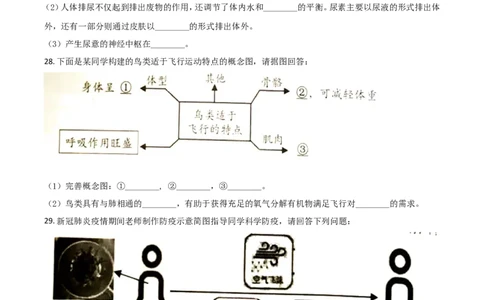 精品解析：湖南岳阳市2020年中考生物试题（原卷版）_中考真题_8.生物中考真题2015-2024年_2020生物真题74份_2020年中考真题精品解析生物（湖南岳阳卷）精编word版