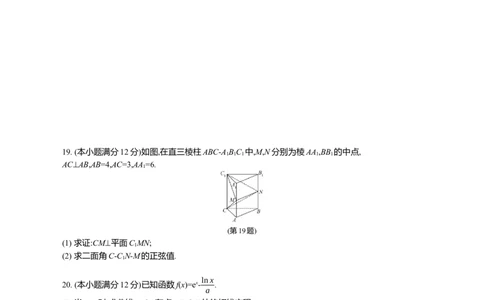 高三数学迎考卷_2024届江苏省高三上学期期末迎考_江苏省2024届高三上学期期末迎考数学