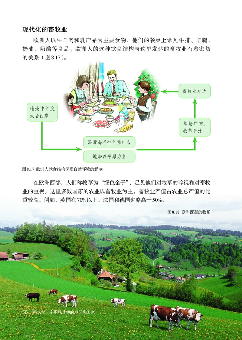 鲁教版6年级地理下册高清教材_4-教培资料-26年最新资料-同步更新_初中高中教资_03科三专项（进去保存报考的学科即可）_02科三专项（笔记真题思维导图教学设计版本二）