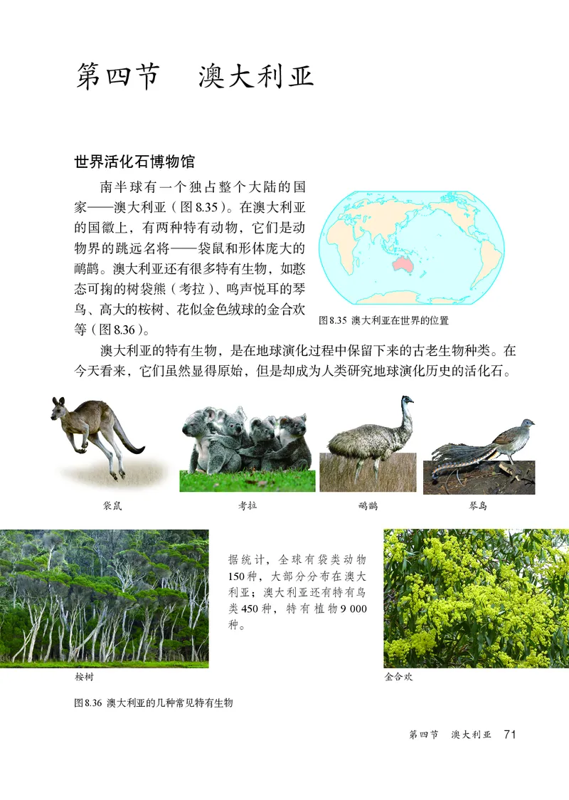 鲁教版6年级地理下册高清教材_4-教培资料-26年最新资料-同步更新_初中高中教资_03科三专项（进去保存报考的学科即可）_02科三专项（笔记真题思维导图教学设计版本二）