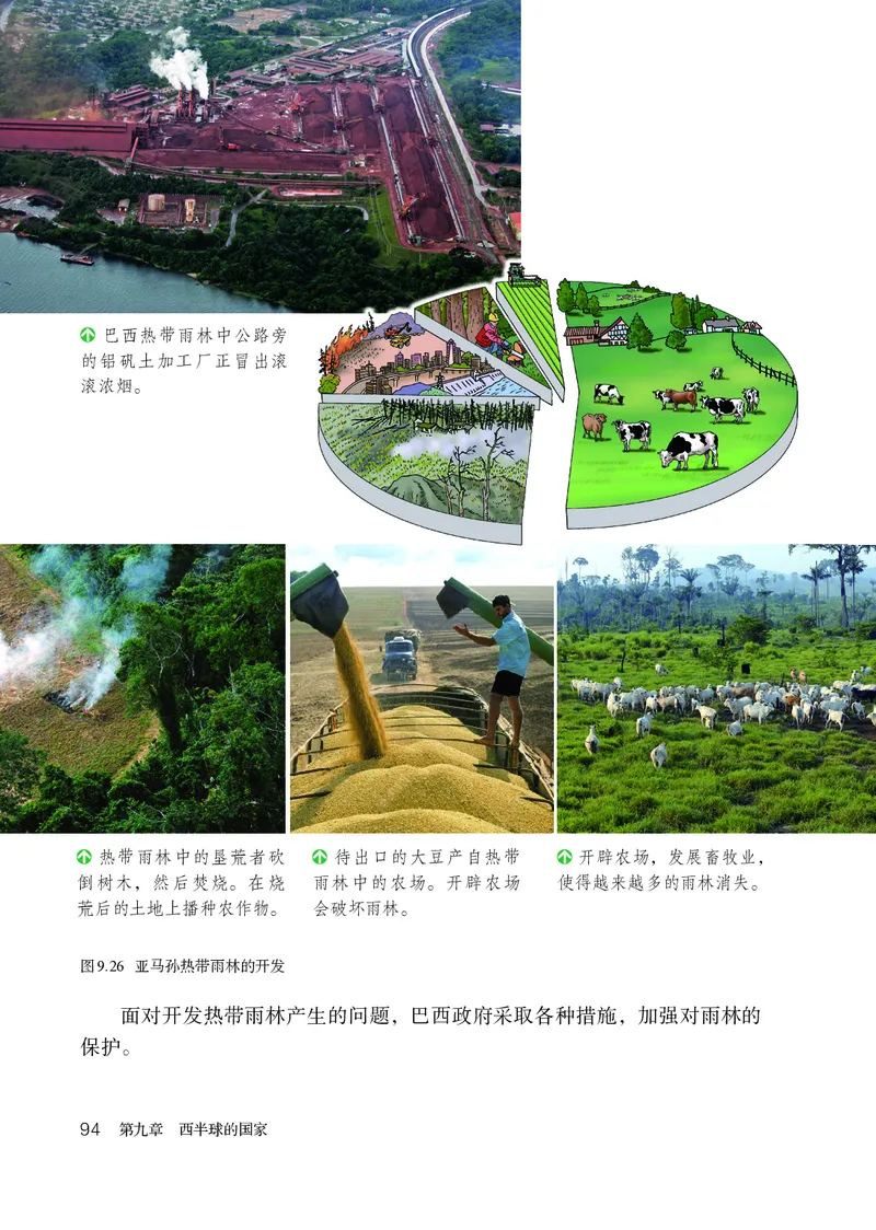 鲁教版6年级地理下册高清教材_4-教培资料-26年最新资料-同步更新_初中高中教资_03科三专项（进去保存报考的学科即可）_02科三专项（笔记真题思维导图教学设计版本二）