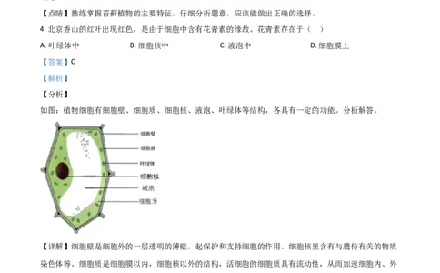 精品解析：山东省日照市2020年中考生物试题（解析版）_中考真题_8.生物中考真题2015-2024年_2020生物真题74份_精品解析：山东省日照市2020年中考生物试题