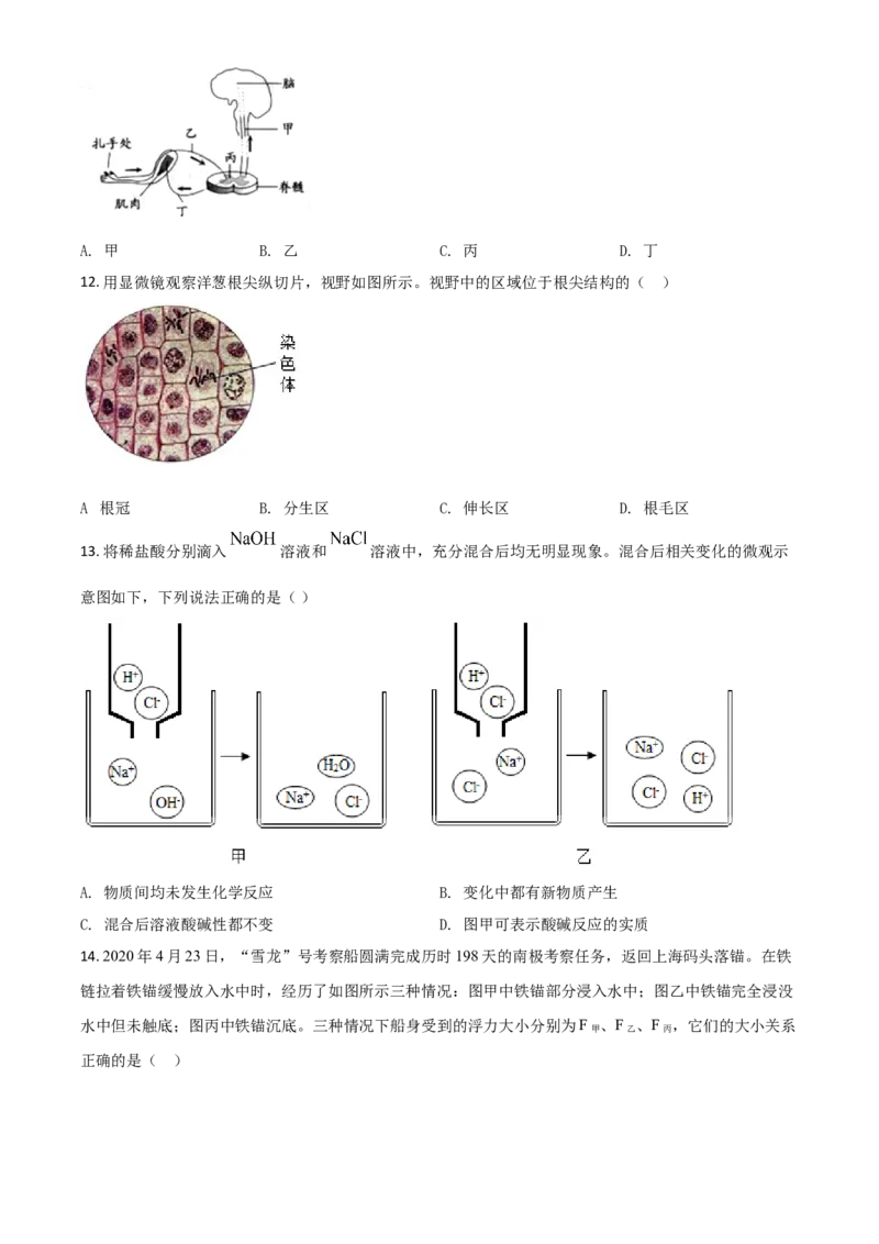 精品解析：浙江省衢州市2020年中考科学试题（原卷版）_中考真题_7.政治中考真题2015-2024年_2020政治真题79份_2020年中考真题精品解析科学（浙江衢州卷）精编word版
