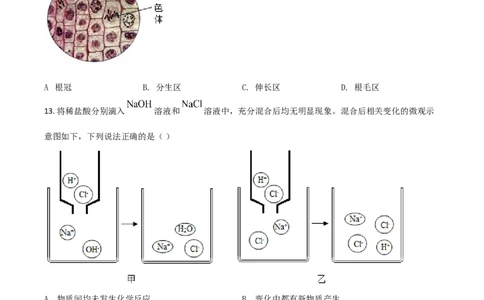 精品解析：浙江省衢州市2020年中考科学试题（原卷版）_中考真题_7.政治中考真题2015-2024年_2020政治真题79份_2020年中考真题精品解析科学（浙江衢州卷）精编word版
