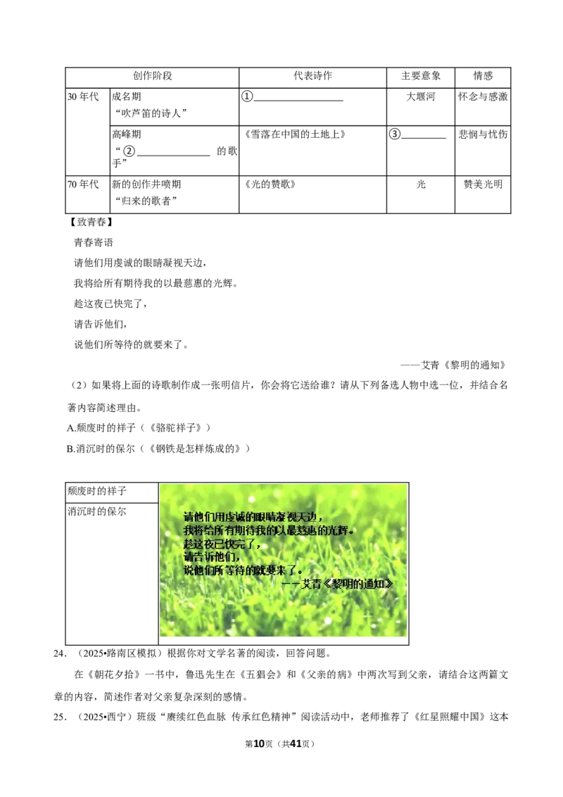 2026年中考语文常考考点专题之整本书阅读_162026年中考七科常考考点专题资料_001中考语文常考考点专题
