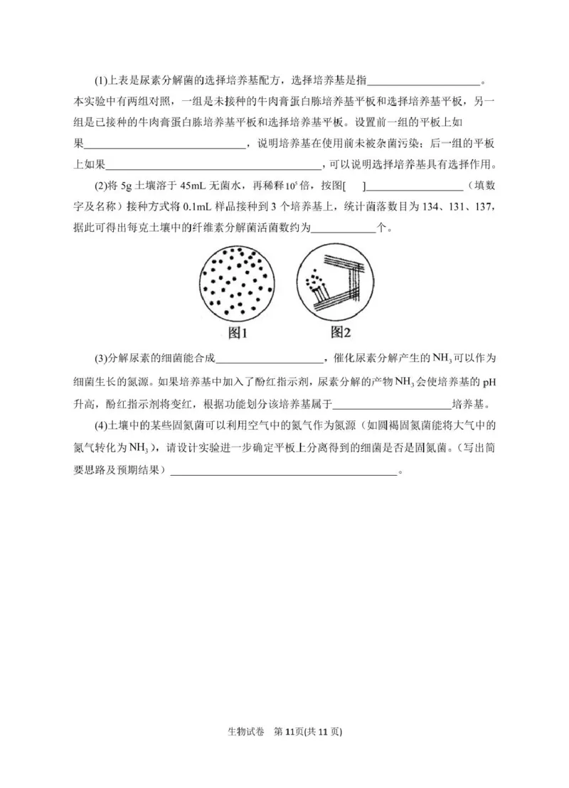 2025届宁夏银川市第一中学高三下学期第一次模拟生物试卷_2025年3月_2503102025届宁夏银川市第一中学高三下学期第一次模拟（全科）