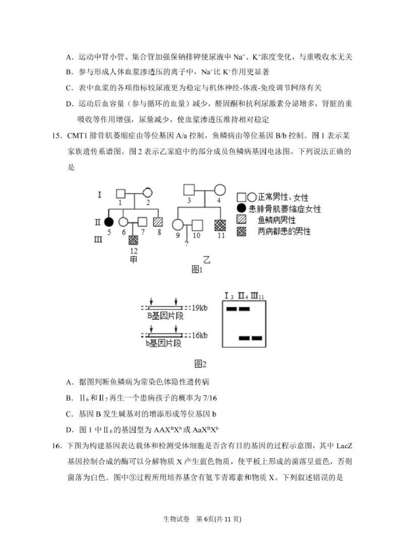 2025届宁夏银川市第一中学高三下学期第一次模拟生物试卷_2025年3月_2503102025届宁夏银川市第一中学高三下学期第一次模拟（全科）