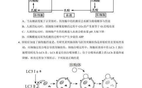 2025届宁夏银川市第一中学高三下学期第一次模拟生物试卷_2025年3月_2503102025届宁夏银川市第一中学高三下学期第一次模拟（全科）
