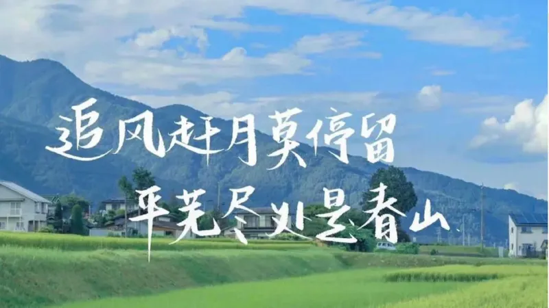 一拖N_2026考公资料_超格合集_公考-理论班2026超格行测申论（六合一）理论实战班_判断推理理论实战班程意&义恒_课件