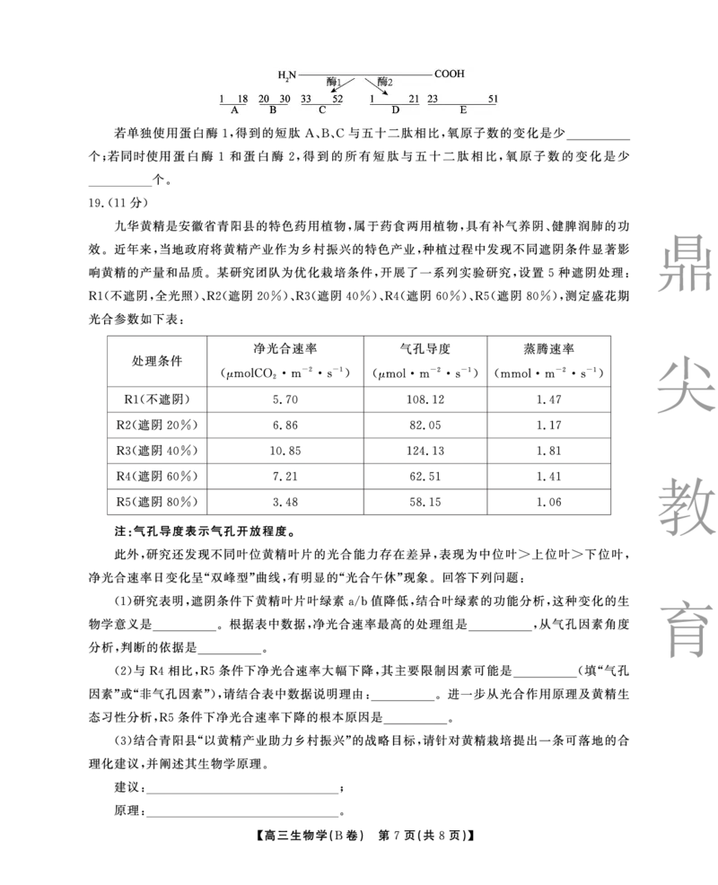 2025-2026学年鼎尖名校大联考生物(B)_2025年10月_251013安徽省鼎尖名校大联考2025-2026学年高三上学期10月月考（全科）