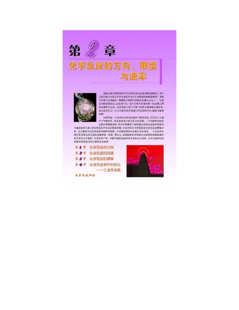 鲁科版高中化学选修4-化学反应原理（2003课标版）_4-教培资料-26年最新资料-同步更新_初中高中教资_03科三专项（进去保存报考的学科即可）_112025高中科目（全）电子教材