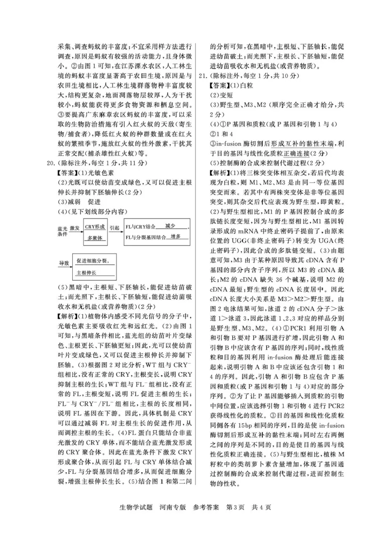 2025届高三部分重点中学3月联合测评(T8联考)生物试卷（河南版，含答案）_2025年3月_2503282025届八省八校高三部分重点中学3月联合测评（T8联考）（全科）