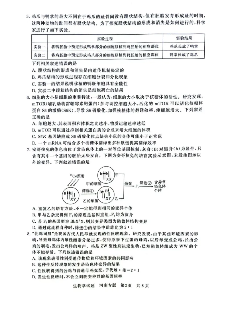 2025届高三部分重点中学3月联合测评(T8联考)生物试卷（河南版，含答案）_2025年3月_2503282025届八省八校高三部分重点中学3月联合测评（T8联考）（全科）