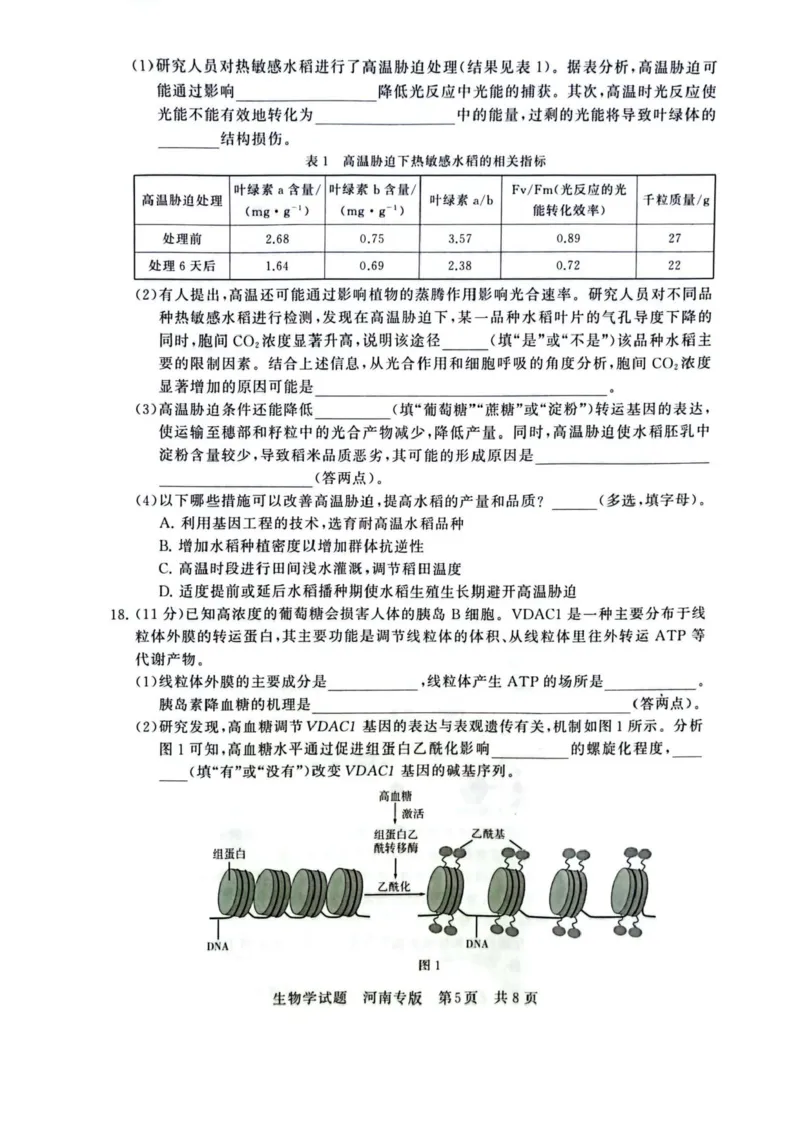 2025届高三部分重点中学3月联合测评(T8联考)生物试卷（河南版，含答案）_2025年3月_2503282025届八省八校高三部分重点中学3月联合测评（T8联考）（全科）