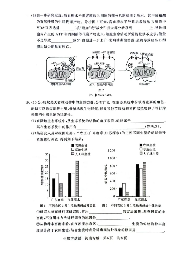 2025届高三部分重点中学3月联合测评(T8联考)生物试卷（河南版，含答案）_2025年3月_2503282025届八省八校高三部分重点中学3月联合测评（T8联考）（全科）