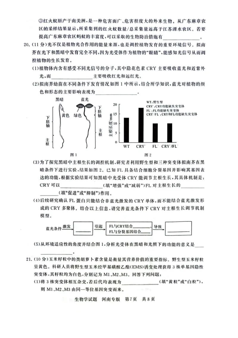 2025届高三部分重点中学3月联合测评(T8联考)生物试卷（河南版，含答案）_2025年3月_2503282025届八省八校高三部分重点中学3月联合测评（T8联考）（全科）