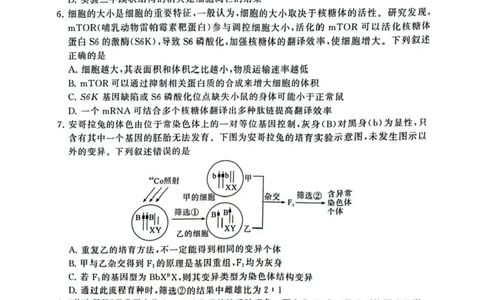 2025届高三部分重点中学3月联合测评(T8联考)生物试卷（河南版，含答案）_2025年3月_2503282025届八省八校高三部分重点中学3月联合测评（T8联考）（全科）