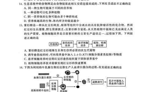 2025届高三部分重点中学3月联合测评(T8联考)生物试卷（河南版，含答案）_2025年3月_2503282025届八省八校高三部分重点中学3月联合测评（T8联考）（全科）