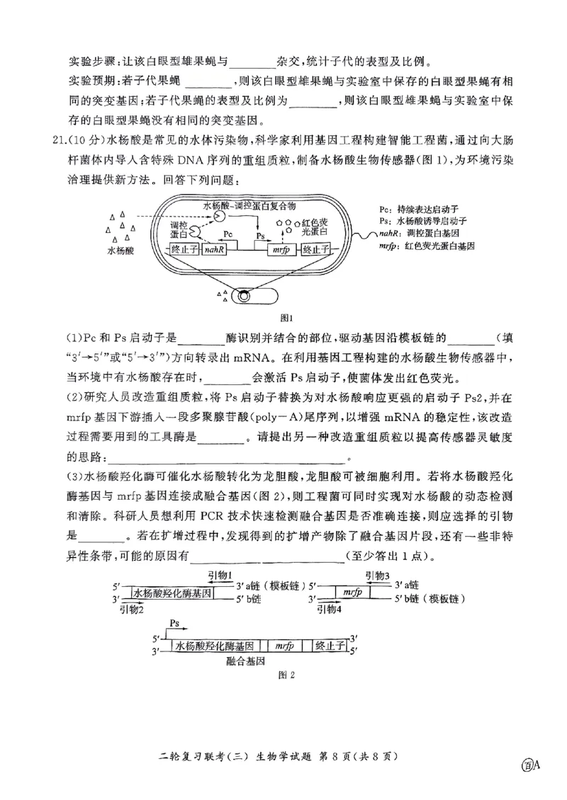 2025届百师联盟高三下学期二轮复习联考（三）生物试题_2025年5月_2505152025届百师联盟高三下学期二轮复习联考（三）