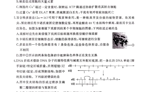 2025届百师联盟高三下学期二轮复习联考（三）生物试题_2025年5月_2505152025届百师联盟高三下学期二轮复习联考（三）