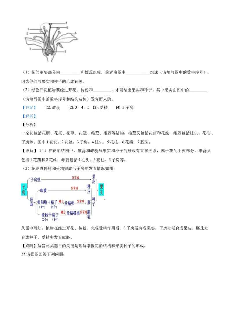 精品解析：辽宁省沈阳市2020年中考生物试题（解析版）_中考真题_8.生物中考真题2015-2024年_2020生物真题74份_2020年中考真题精品解析生物（辽宁沈阳卷）精编word版