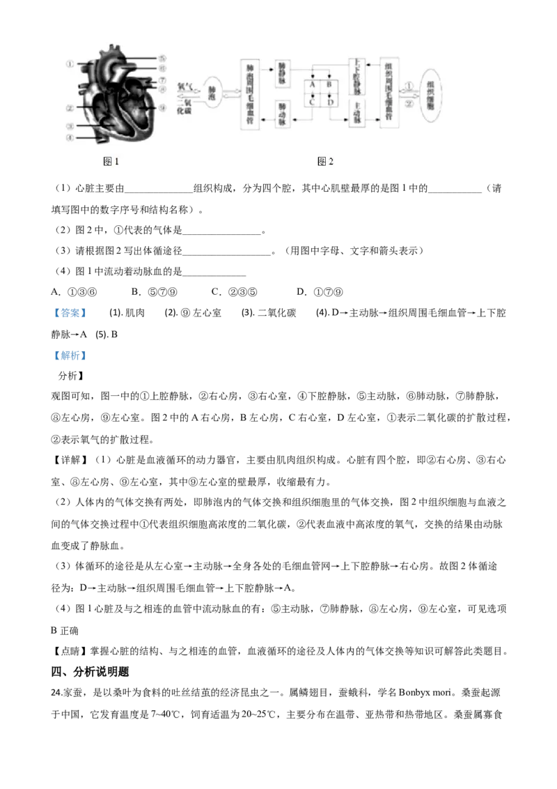 精品解析：辽宁省沈阳市2020年中考生物试题（解析版）_中考真题_8.生物中考真题2015-2024年_2020生物真题74份_2020年中考真题精品解析生物（辽宁沈阳卷）精编word版
