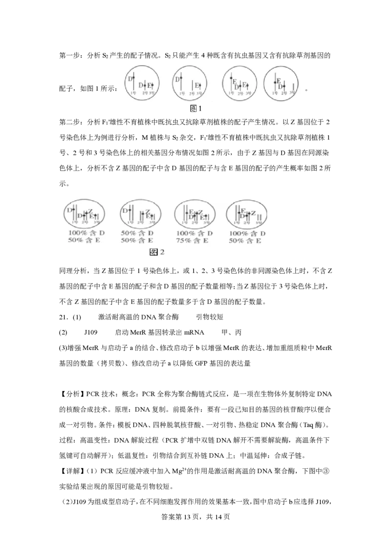(8.3)-点睛押题卷&mdash;&mdash;北京卷答案与解析_2024高考押题卷_132024高途全系列_26高途点睛卷_2024点睛密卷-生物