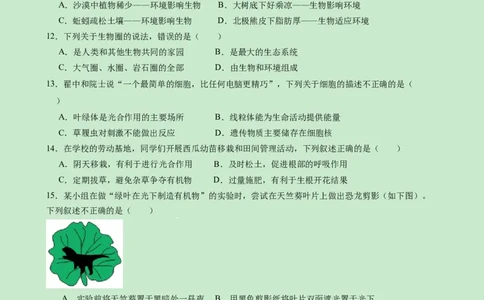 高一生物（新高考通用）01（考试版）_1多考区联考试卷_08272024年秋季高一入学分班考试模拟卷（word解析含答题卡）_生物（新高考通用）01-2024年秋季高一入学分班考试模拟卷