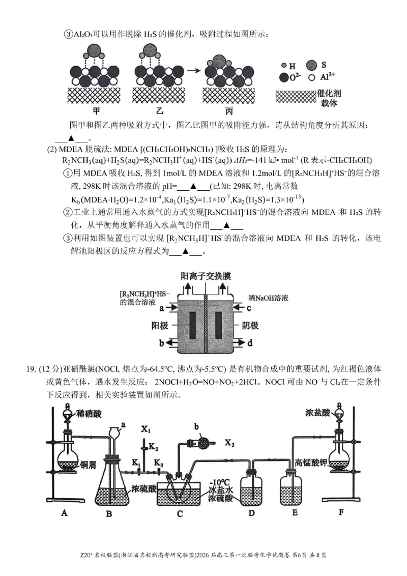 Z20+名校联盟（浙江省名校新高考研究联盟）2026届高三第一次联考化学_2025年8月_250823Z20+名校联盟（浙江省名校新高考研究联盟）2026届高三第一次联考（全科）