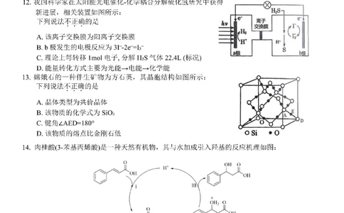 Z20+名校联盟（浙江省名校新高考研究联盟）2026届高三第一次联考化学_2025年8月_250823Z20+名校联盟（浙江省名校新高考研究联盟）2026届高三第一次联考（全科）