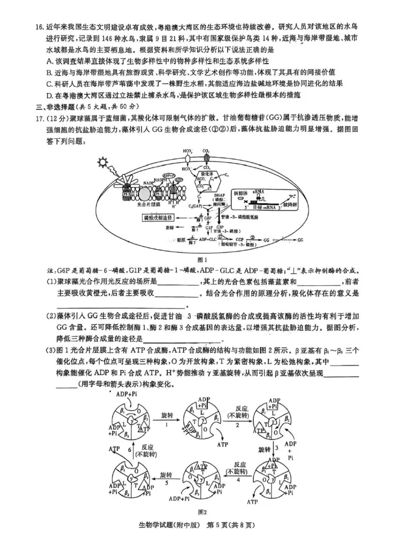 2025届湖南省长沙市湖南师范大学附属中学高三下学期三模生物学试卷+答案_2025年5月_250529湖南省长沙市湖南师范大学附属中学2024-2025学年高三下学期三模（全科）