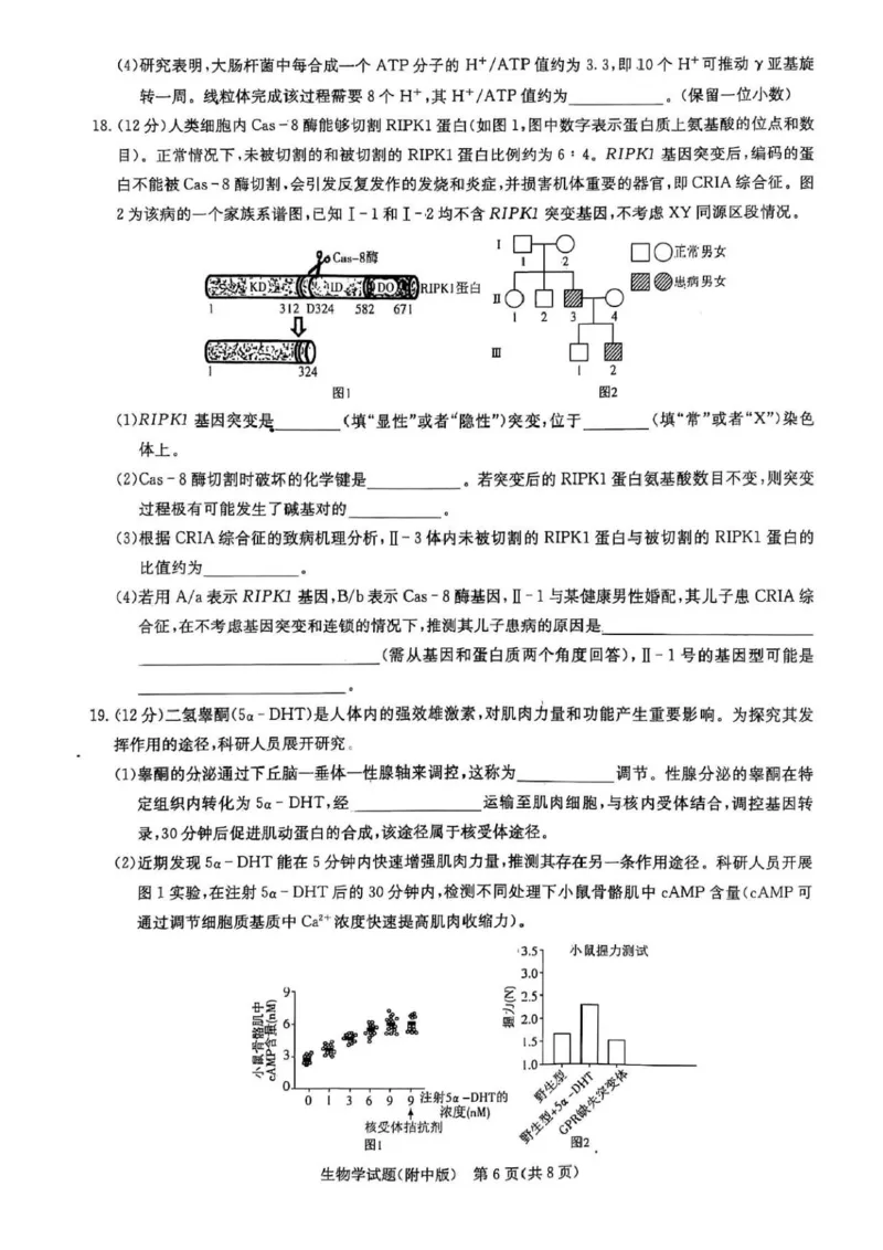 2025届湖南省长沙市湖南师范大学附属中学高三下学期三模生物学试卷+答案_2025年5月_250529湖南省长沙市湖南师范大学附属中学2024-2025学年高三下学期三模（全科）