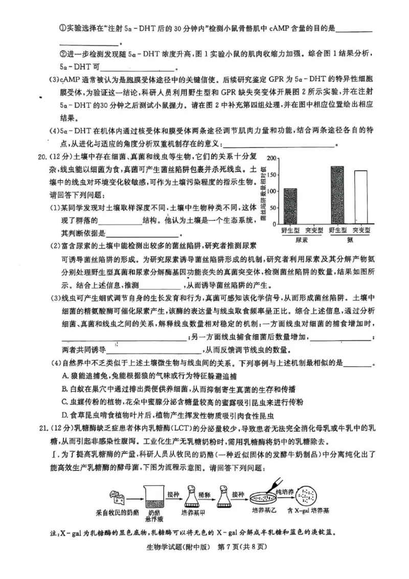 2025届湖南省长沙市湖南师范大学附属中学高三下学期三模生物学试卷+答案_2025年5月_250529湖南省长沙市湖南师范大学附属中学2024-2025学年高三下学期三模（全科）