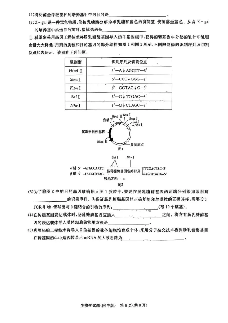 2025届湖南省长沙市湖南师范大学附属中学高三下学期三模生物学试卷+答案_2025年5月_250529湖南省长沙市湖南师范大学附属中学2024-2025学年高三下学期三模（全科）