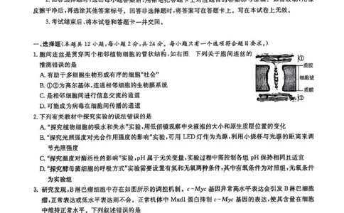 2025届湖南省长沙市湖南师范大学附属中学高三下学期三模生物学试卷+答案_2025年5月_250529湖南省长沙市湖南师范大学附属中学2024-2025学年高三下学期三模（全科）