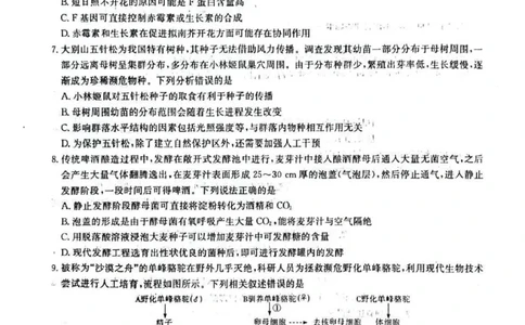 2025届湖南省长沙市湖南师范大学附属中学高三下学期三模生物学试卷+答案_2025年5月_250529湖南省长沙市湖南师范大学附属中学2024-2025学年高三下学期三模（全科）