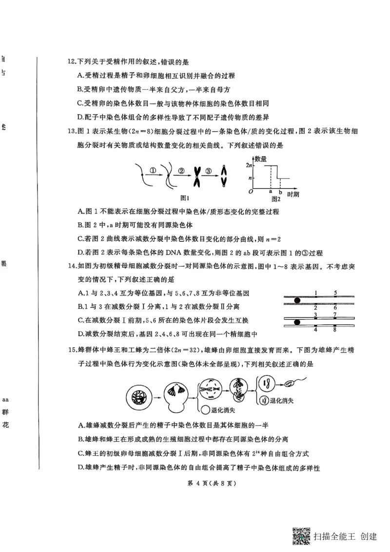 试题_1多考区联考试卷_0320百师联盟2024-2025学年高一下学期3月联考_百师联盟2024-2025学年高一下学期3月联考生物试题