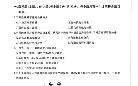 试题_1多考区联考试卷_0320百师联盟2024-2025学年高一下学期3月联考_百师联盟2024-2025学年高一下学期3月联考生物试题
