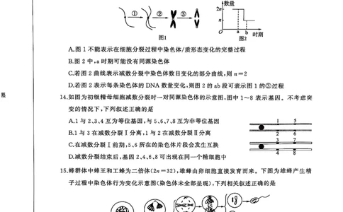 试题_1多考区联考试卷_0320百师联盟2024-2025学年高一下学期3月联考_百师联盟2024-2025学年高一下学期3月联考生物试题