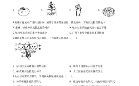 精品解析：广东省2020年中考生物试题（原卷版）_中考真题_8.生物中考真题2015-2024年_2020生物真题74份_2020年中考真题解析生物(广东卷)精编word版
