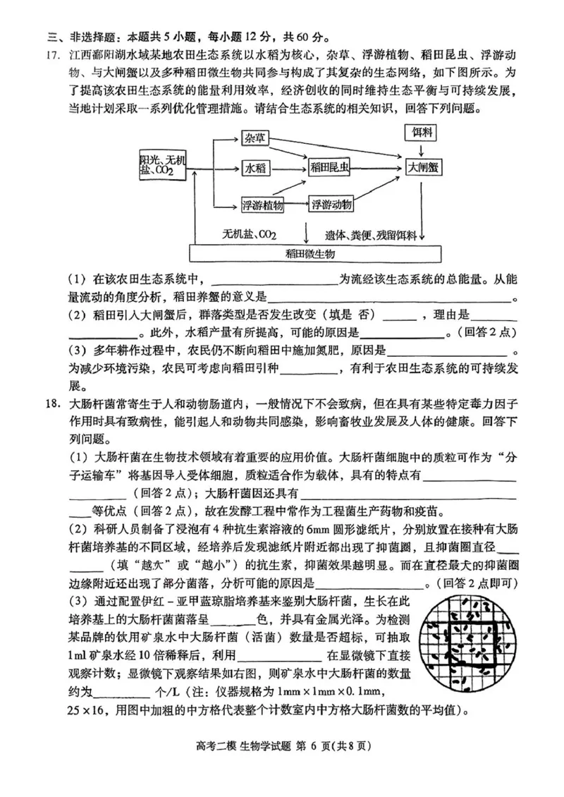 2025届江西省九江市高三二模考试生物试题（扫描版有答案）_2025年3月_250330江西省九江市2025年第二次高考模拟统一考试（全科）_江西省九江市2025年第二次高考模拟统一考试生物