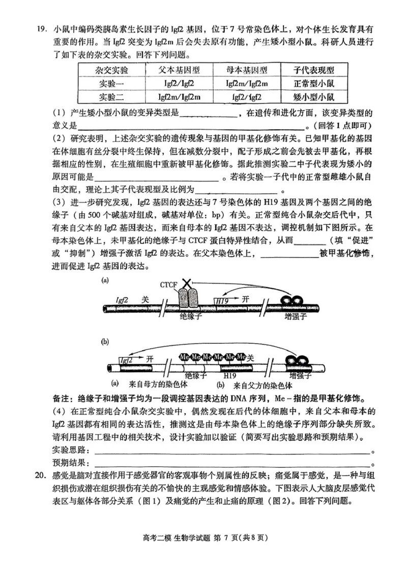 2025届江西省九江市高三二模考试生物试题（扫描版有答案）_2025年3月_250330江西省九江市2025年第二次高考模拟统一考试（全科）_江西省九江市2025年第二次高考模拟统一考试生物