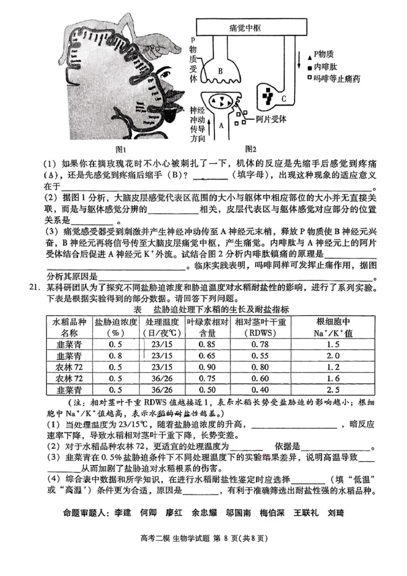 2025届江西省九江市高三二模考试生物试题（扫描版有答案）_2025年3月_250330江西省九江市2025年第二次高考模拟统一考试（全科）_江西省九江市2025年第二次高考模拟统一考试生物