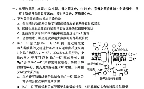2025届江西省九江市高三二模考试生物试题（扫描版有答案）_2025年3月_250330江西省九江市2025年第二次高考模拟统一考试（全科）_江西省九江市2025年第二次高考模拟统一考试生物